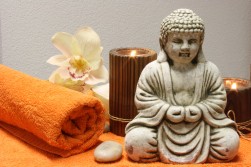 wellness 589775