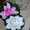 img_20160801_155649