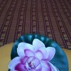 img_20160801_155751