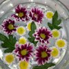 img_20160802_095837